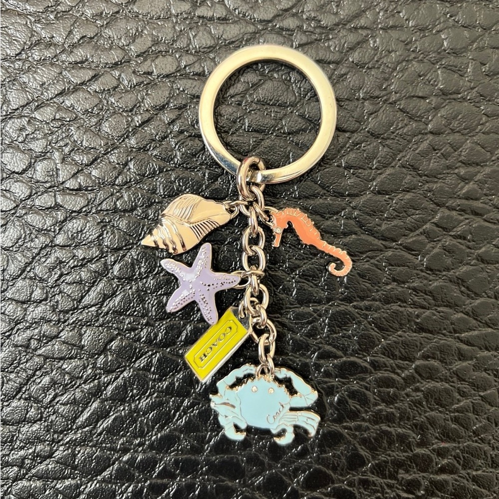 Coach keychain